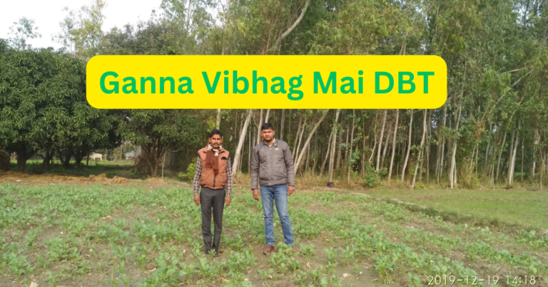 Ganna Vibhag Mai DBT