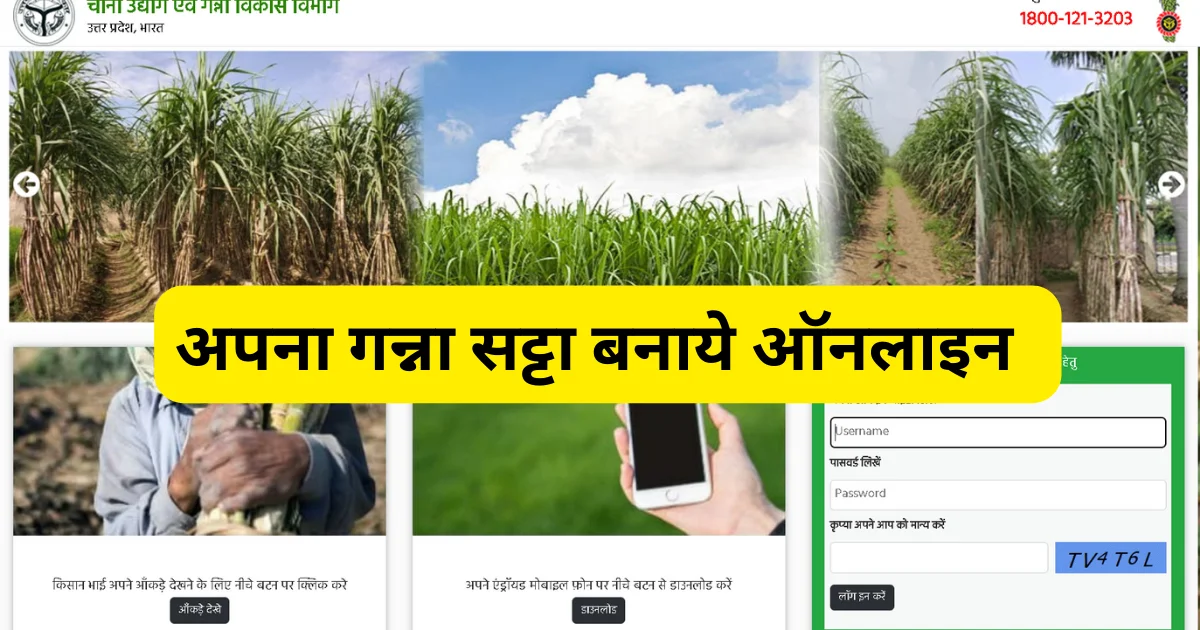 Online Ganna Satta