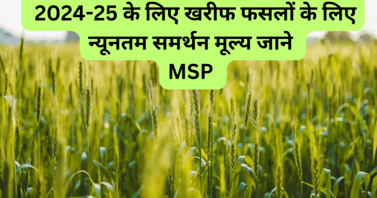 MSP