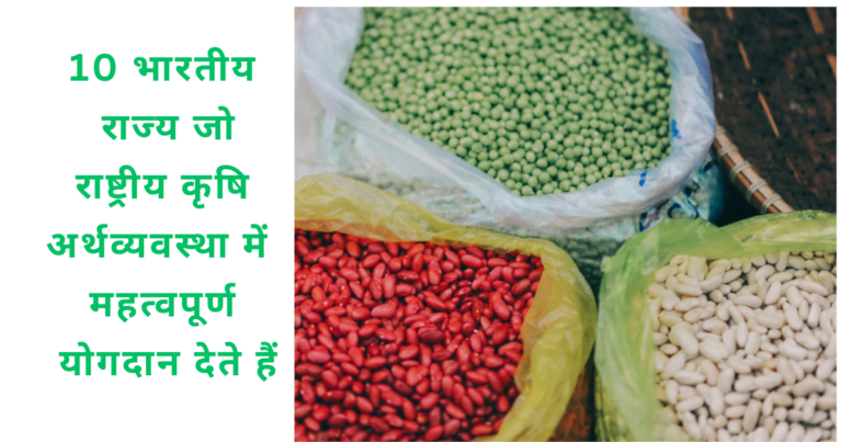 10 भारतीय राज्य जो राष्ट्रीय कृषि अर्थव्यवस्था में महत्वपूर्ण योगदान देते हैं