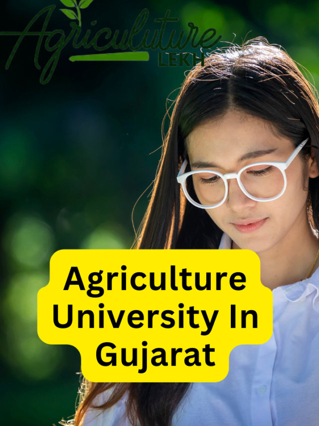 Agriculture University In Gujarat