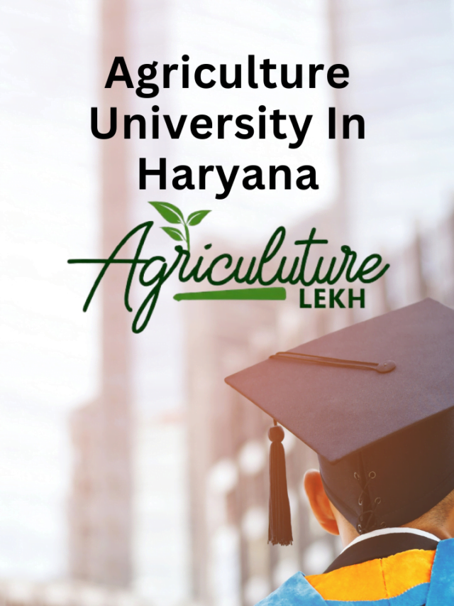 Agriculture University In Haryana