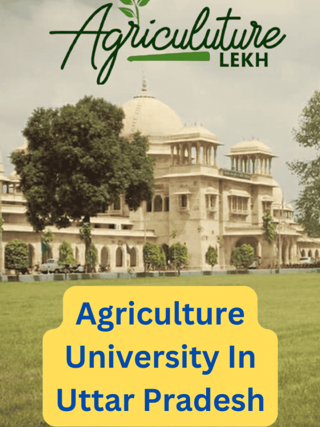 Agriculture University In Uttar Pradesh