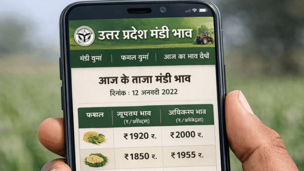यूपी मंडी भाव पोर्टल पर आज का मंडी भाव ऑनलाइन चेक करते हुए