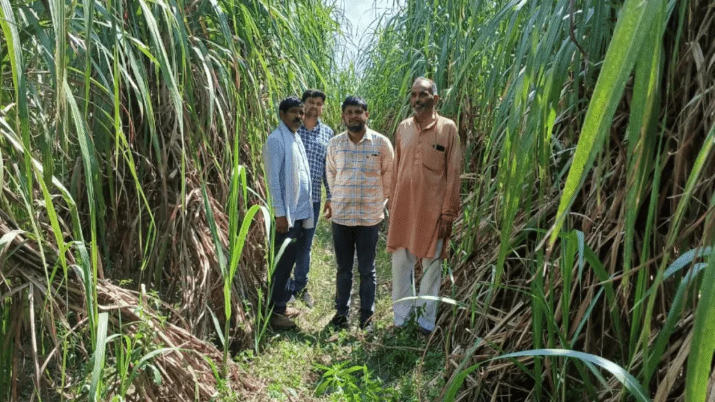 उत्तर प्रदेश गन्ना किसान ऑनलाइन सेवा

