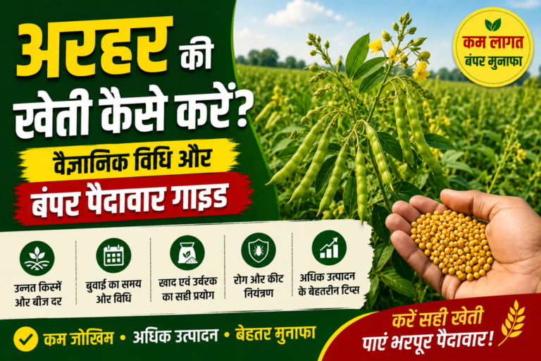 Arhar Dal ki kheti