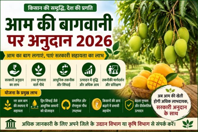 आम की बागवानी पर अनुदान