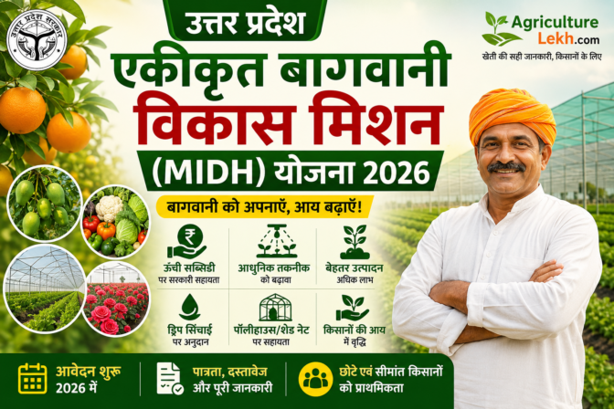 MIDH योजना उत्तर प्रदेश 2026: एकीकृत बागवानी विकास मिशन