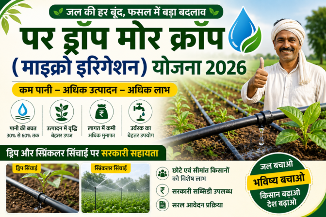 पर ड्रॉप मोर क्रॉप (माइक्रो इरिगेशन) योजना 2026 | ड्रिप सिंचाई सब्सिडी, पात्रता एवं आवेदन पर ड्रॉप मोर क्रॉप योजना